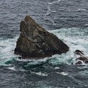 Shetland 192 copia